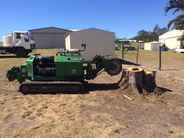 Tracked stump grinder parked beside a large cut stump on a rural block