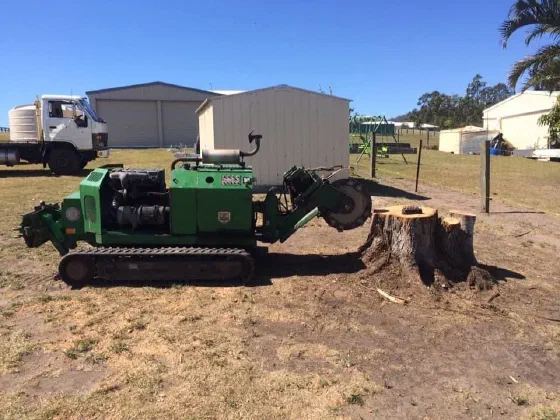 Tracked stump grinder parked beside a large cut stump on a rural block
