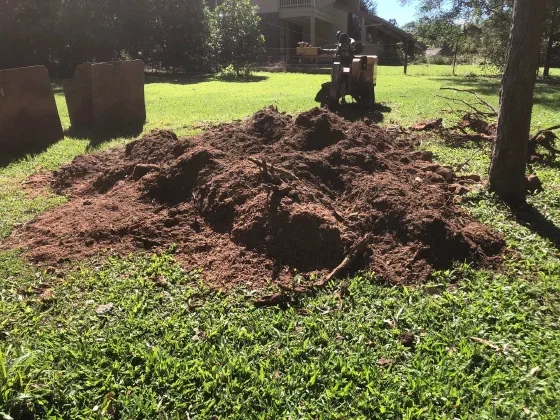 Pile of fresh stump grindings on a lawn with the grinder behind it